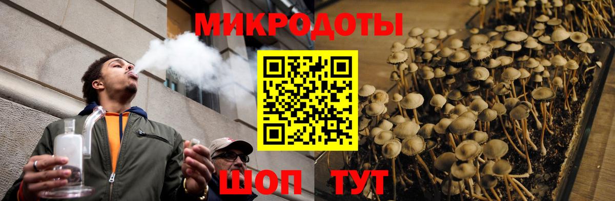 Дербент  Галлюциногенные грибы прущие грибы  Вход с VPN  Псилоцибиновые грибы Cubensis 